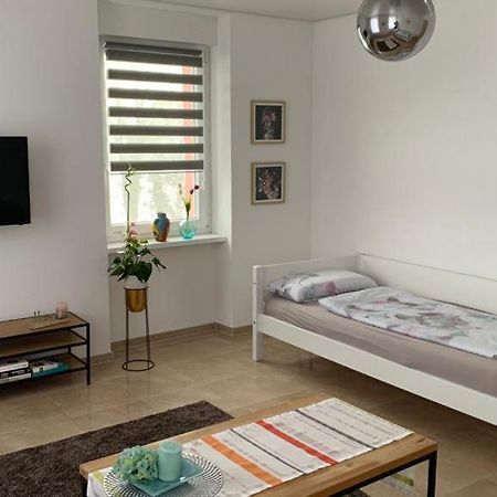 Grenznahe Ferienwohnung Mit 4 Schlafzimmern Ґренцах-Вілен Екстер'єр фото