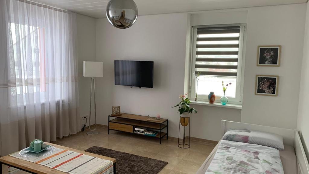 Grenznahe Ferienwohnung Mit 4 Schlafzimmern Ґренцах-Вілен Екстер'єр фото